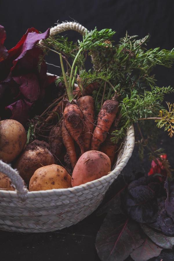 בורדיגרה Agriturismo Osteria Du Barba Pe' - Casa Cassini מראה חיצוני תמונה